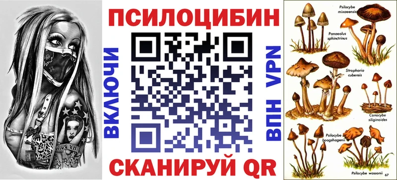 Псилоцибиновые грибы Magic Shrooms  магазин  наркотиков  кракен tor  Онега 